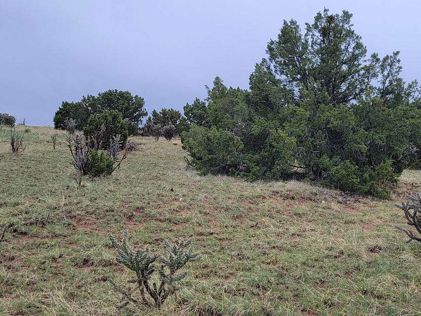 2.2 Acres of Residential Land for Sale in Moriarty, New Mexico