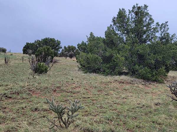 2.2 Acres of Residential Land for Sale in Moriarty, New Mexico