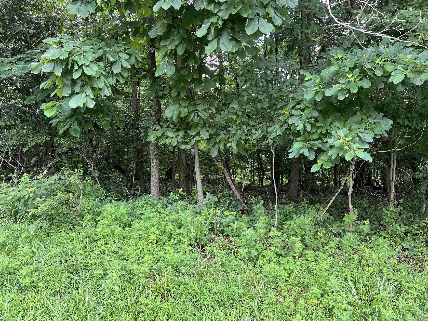 0.32 Acres of Residential Land for Sale in Santa Claus, Indiana