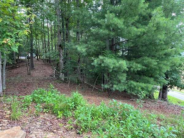 1.4 Acres of Residential Land for Sale in Murphy, North Carolina