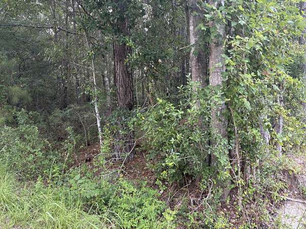 19.7 Acres of Land for Sale in Ridgeville, South Carolina
