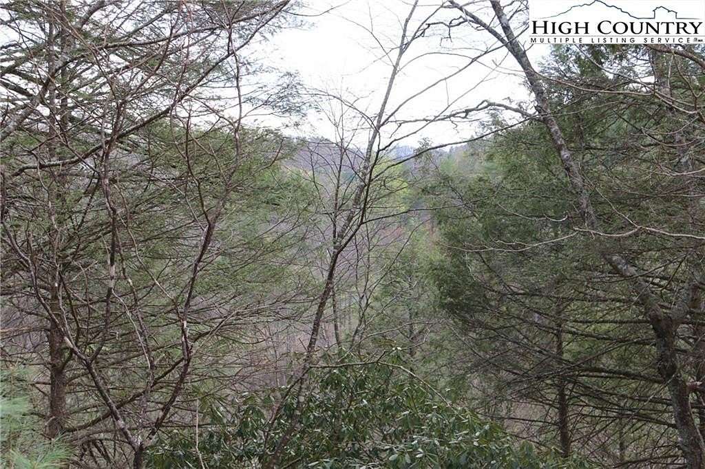 1.65 Acres of Residential Land for Sale in Crumpler, North Carolina