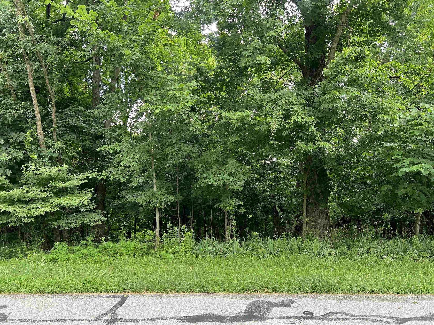 0.32 Acres of Residential Land for Sale in Santa Claus, Indiana