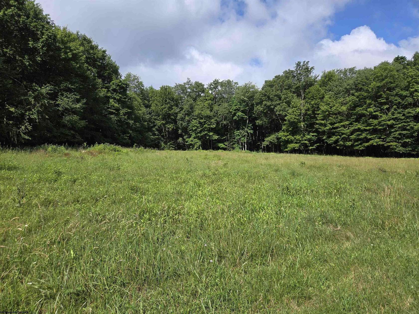 4.35 Acres of Residential Land for Sale in Bruceton Mills, West Virginia