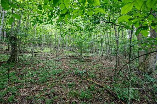 1.78 Acres of Land for Sale in Blairsville, Georgia