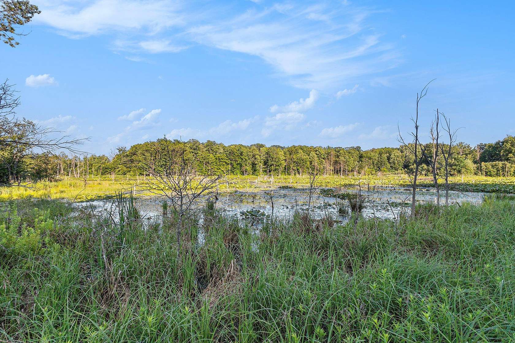 20.2 Acres of Recreational Land for Sale in White Cloud, Michigan