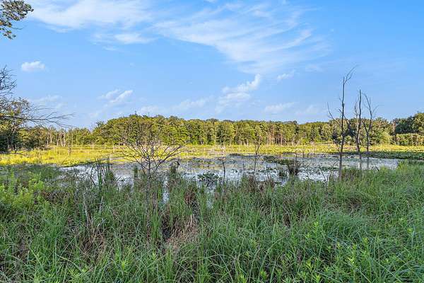 20.2 Acres of Recreational Land for Sale in White Cloud, Michigan
