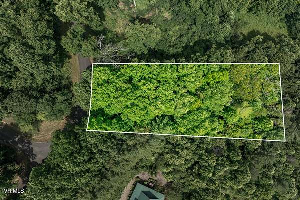 0.56 Acres of Residential Land for Sale in Butler, Tennessee