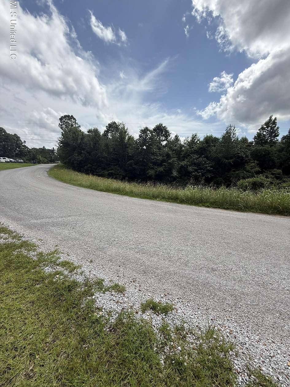 20 Acres of Land for Sale in Walnut, Mississippi