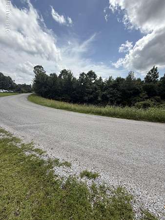 20 Acres of Land for Sale in Walnut, Mississippi