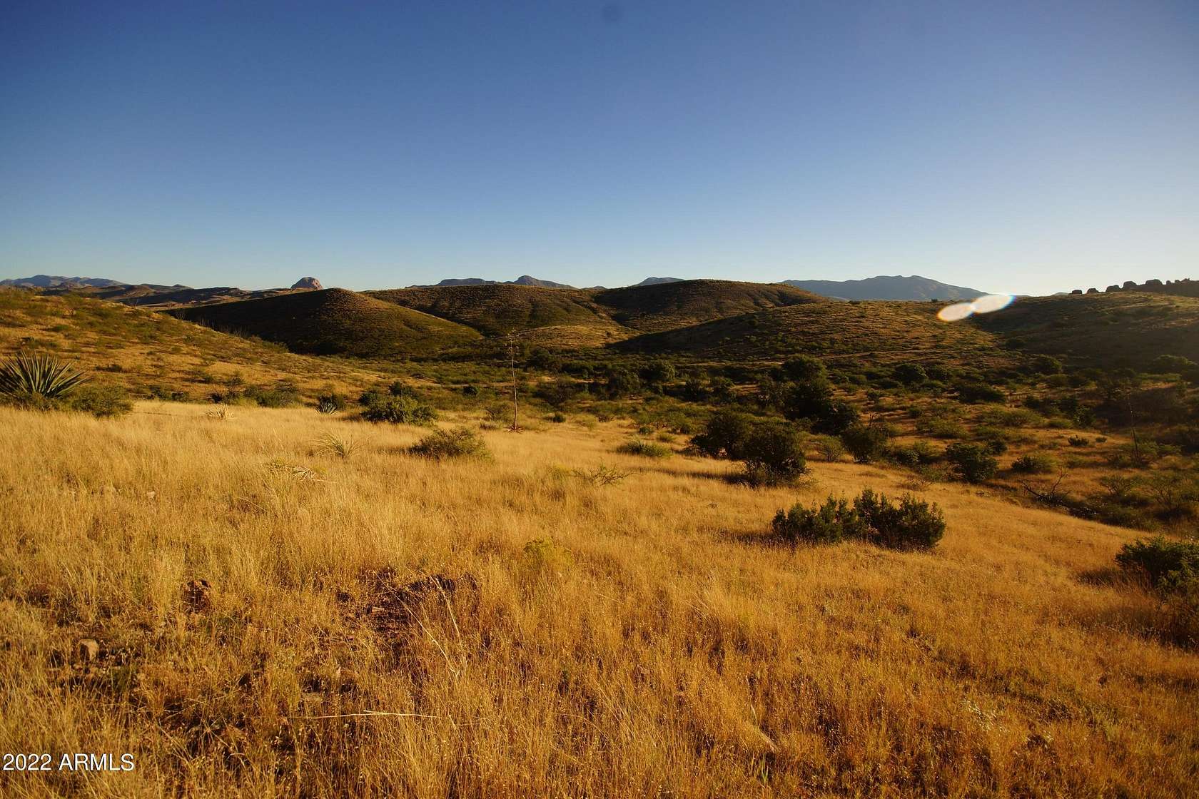 38.7 Acres of Land for Sale in Douglas, Arizona