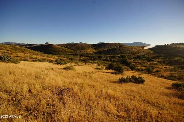 38.7 Acres of Land for Sale in Douglas, Arizona