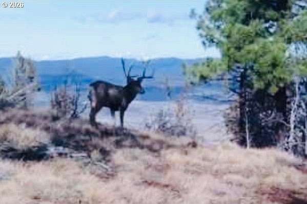 160 Acres of Recreational Land for Sale in John Day, Oregon