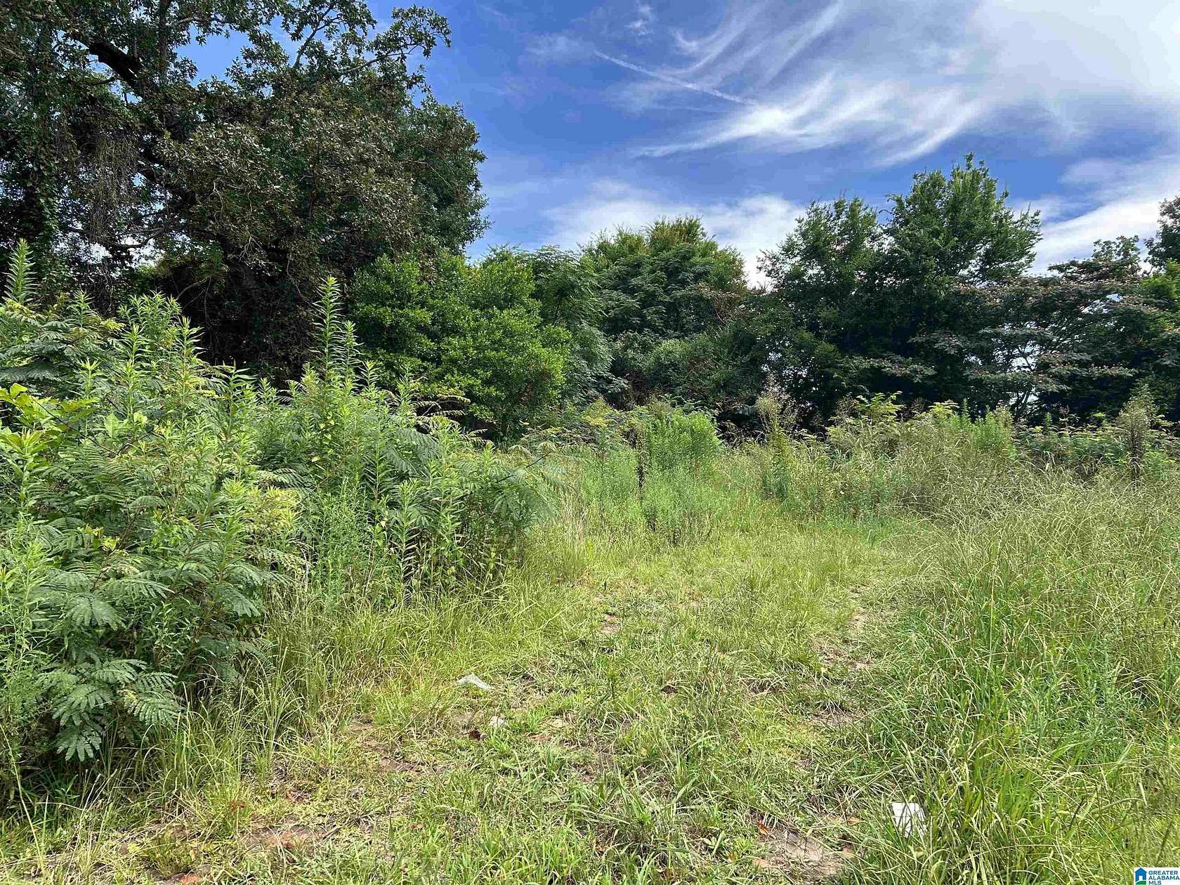0.32 Acres of Land for Sale in Bessemer, Alabama