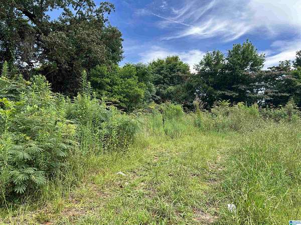 0.32 Acres of Land for Sale in Bessemer, Alabama