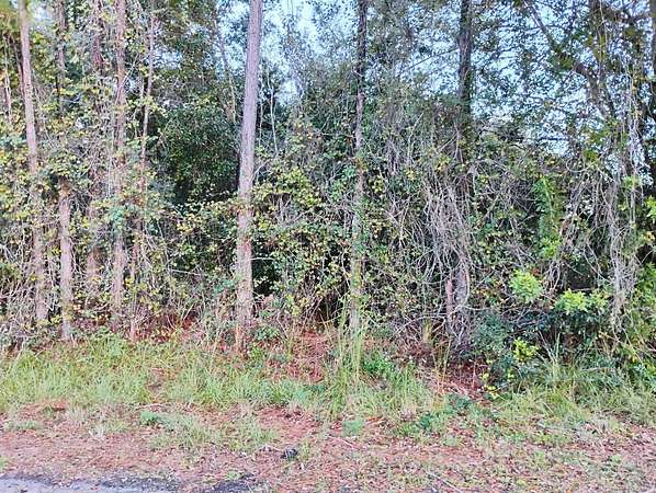0.24 Acres of Land for Sale in Lake Placid, Florida