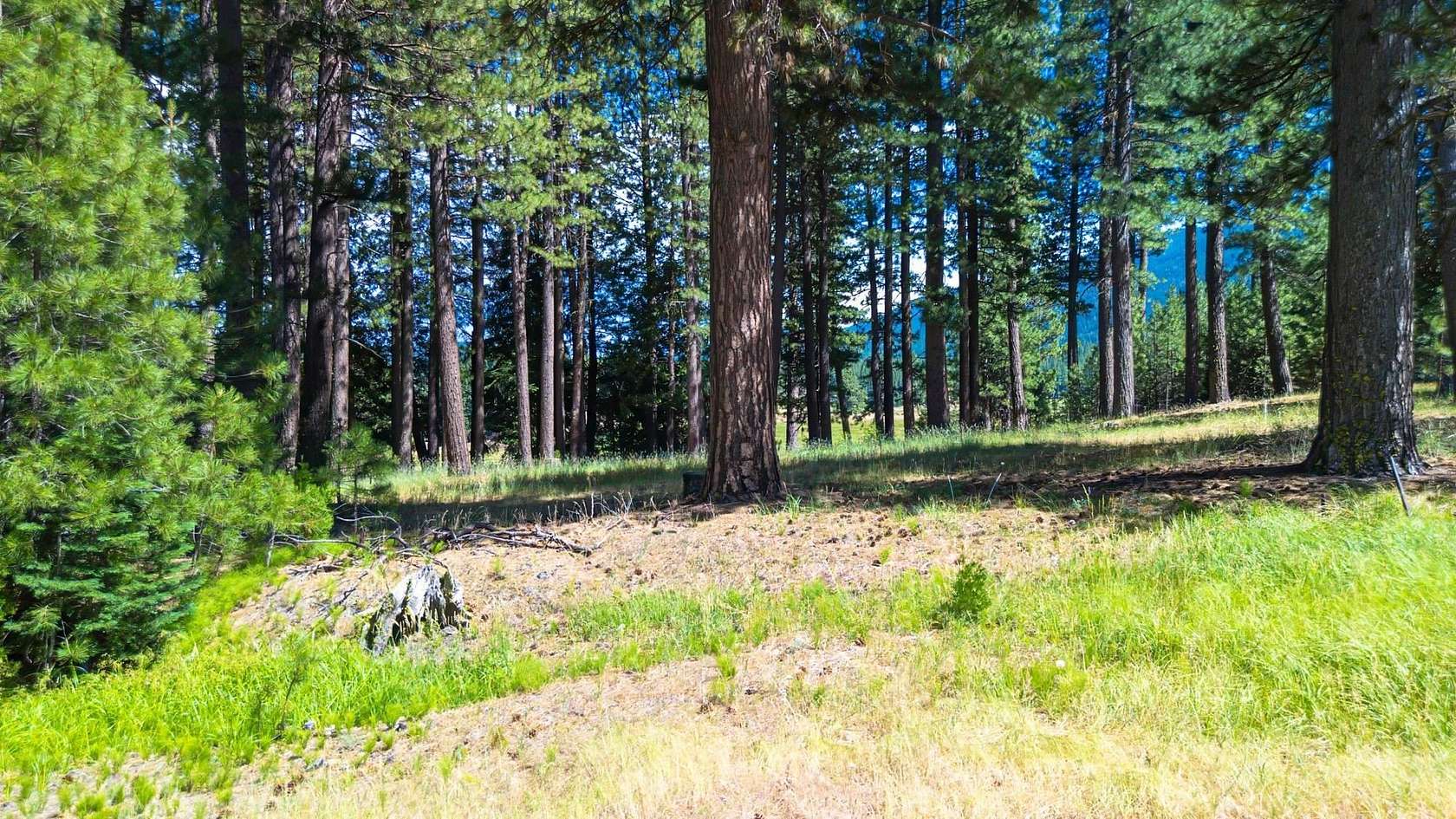 3.24 Acres of Residential Land for Sale in Graeagle, California