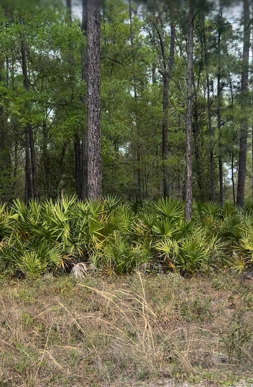 5.1 Acres of Residential Land for Sale in Keystone Heights, Florida