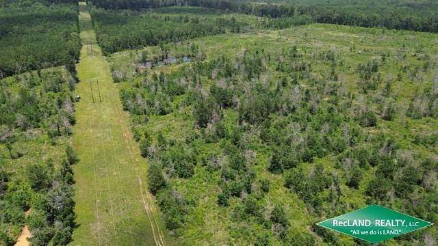 84.5 Acres of Recreational Land for Sale in Jamestown, Louisiana