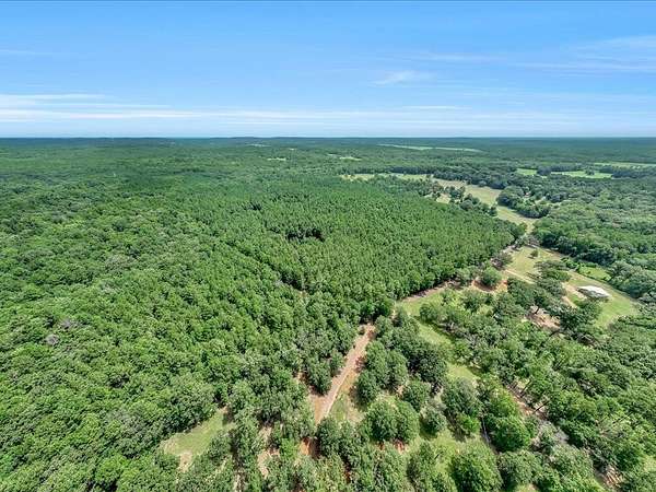 20.8 Acres of Recreational Land for Sale in Cushing, Texas