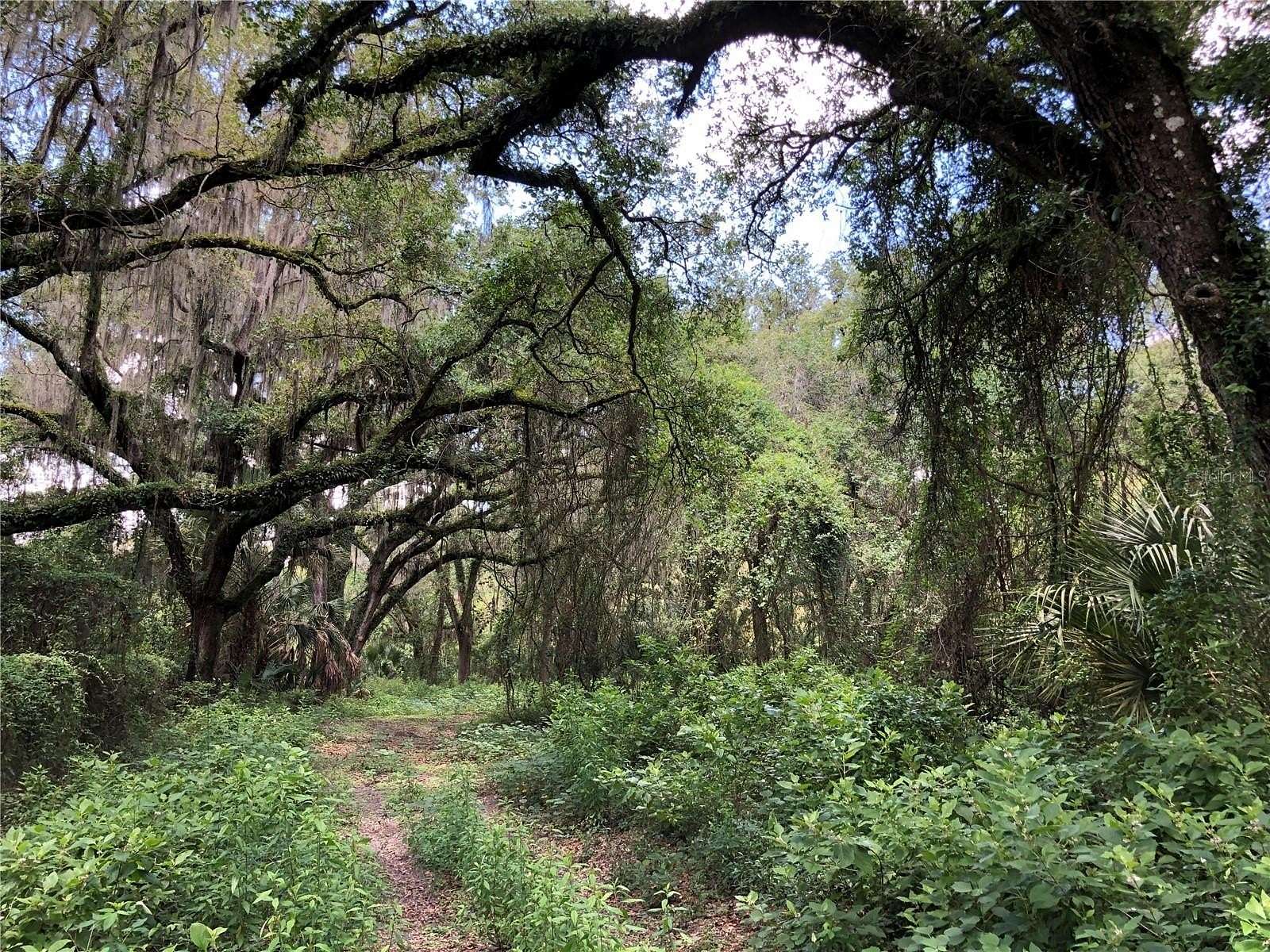 11.2 Acres of Land for Sale in Plant City, Florida