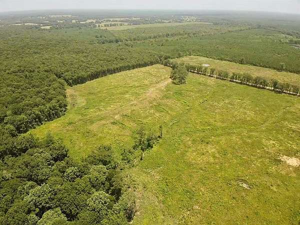 40 Acres of Recreational Land for Sale in De Kalb, Texas