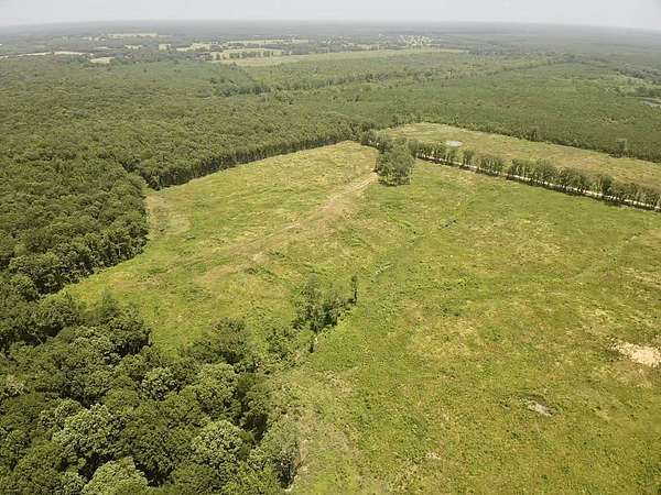 40 Acres of Recreational Land for Sale in De Kalb, Texas