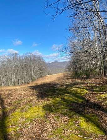 151 Acres of Recreational Land for Sale in Buckeye, West Virginia