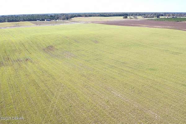 21.9 Acres of Recreational Land & Farm for Sale in Bell, Florida