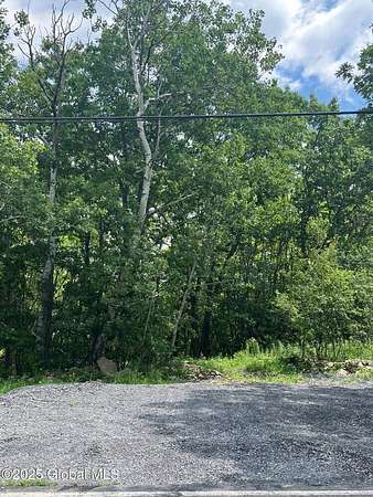 3 Acres of Residential Land for Sale in Duanesburg, New York