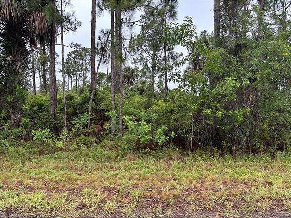 0.25 Acres of Land for Sale in Lehigh Acres, Florida
