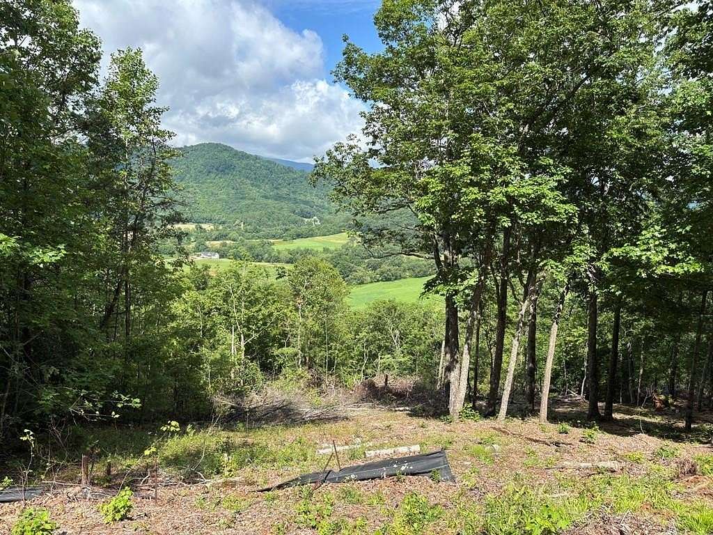 1.1 Acres of Residential Land for Sale in Hiawassee, Georgia