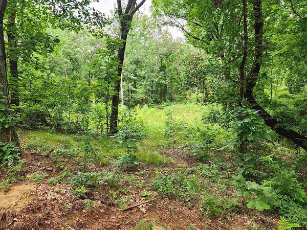 1.78 Acres of Residential Land for Sale in Lindale, Texas