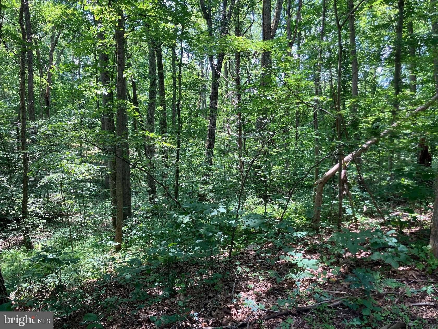 0.2 Acres of Land for Sale in Louisa, Virginia