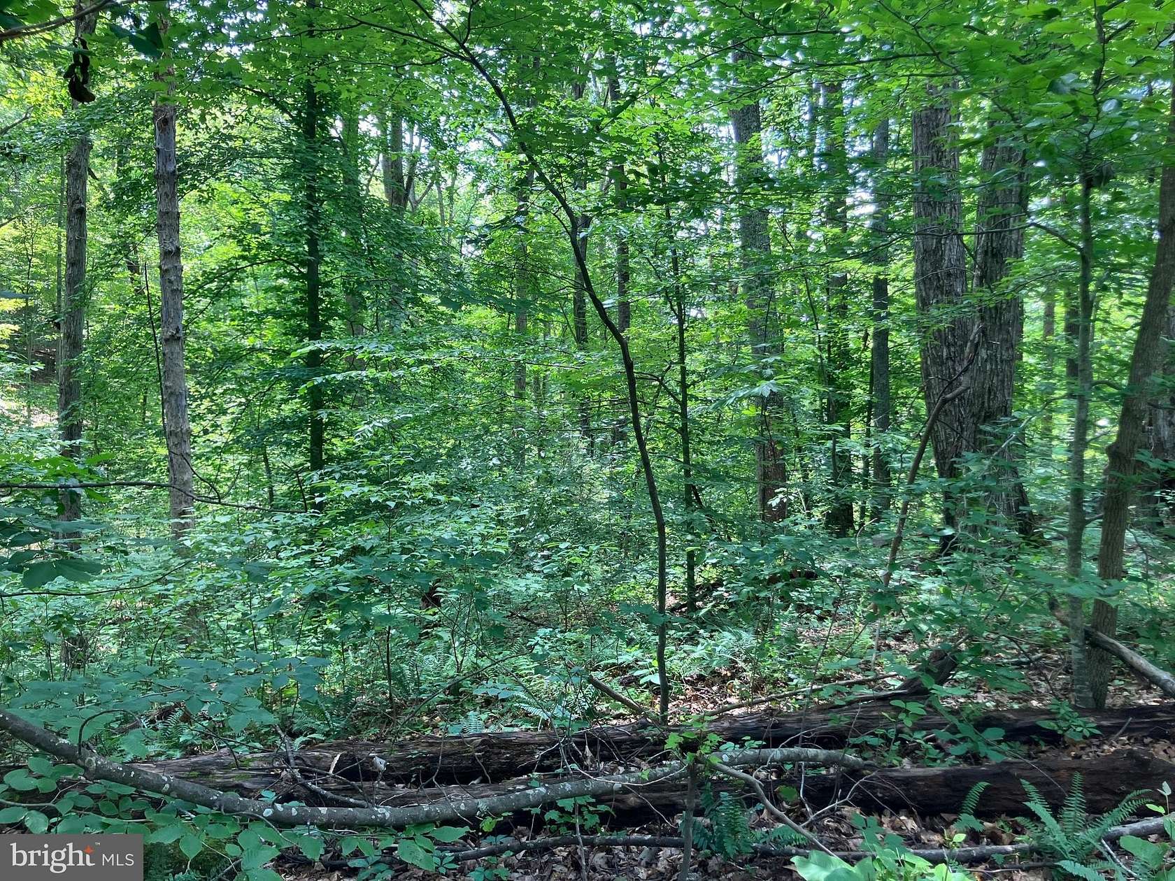 0.2 Acres of Land for Sale in Louisa, Virginia