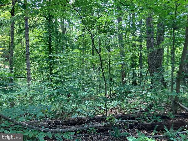 0.2 Acres of Land for Sale in Louisa, Virginia