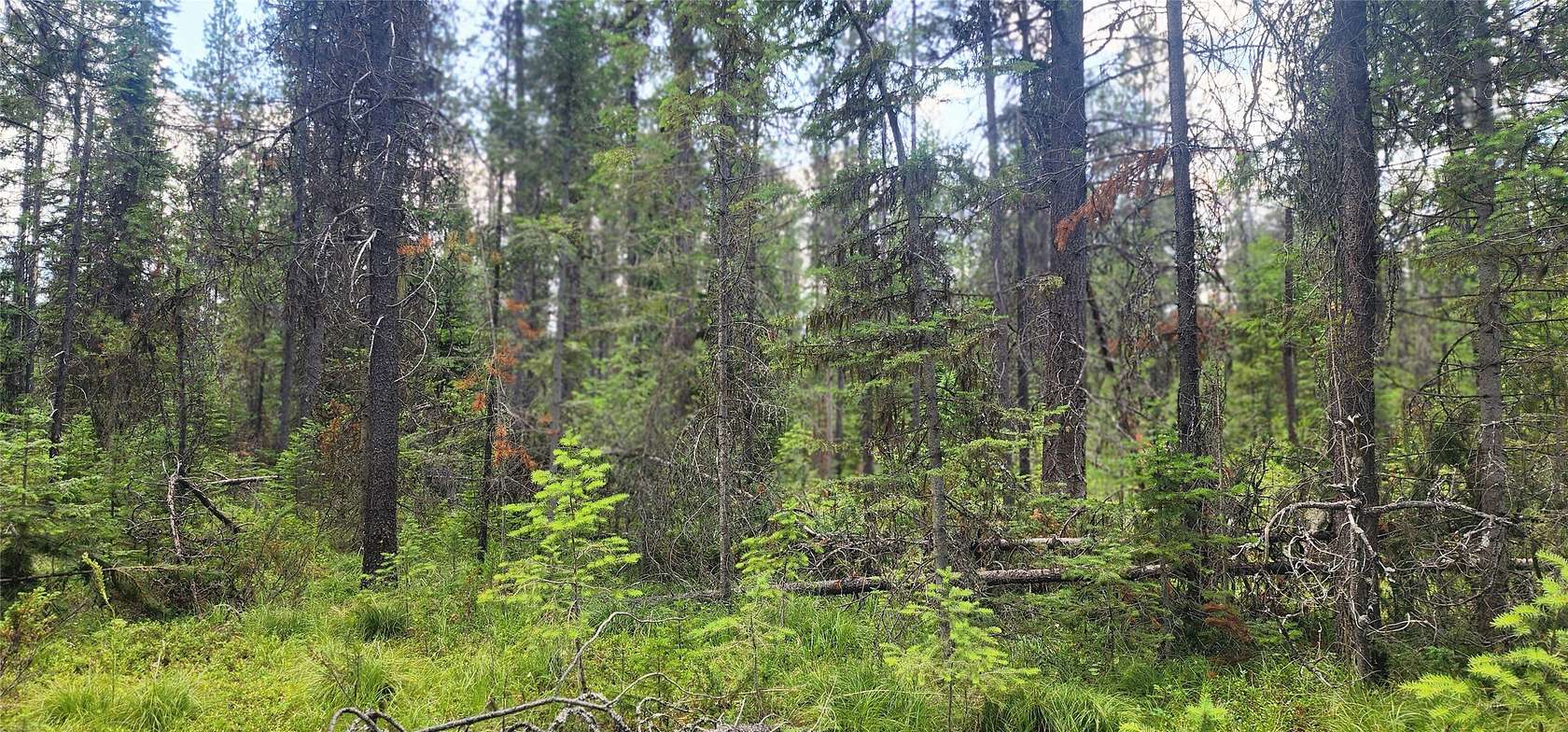 11 Acres of Recreational Land for Sale in Olney, Montana