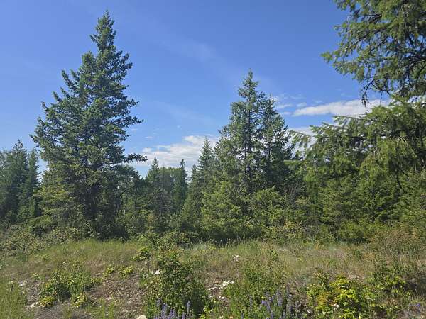 20 Acres of Recreational Land for Sale in Kettle Falls, Washington