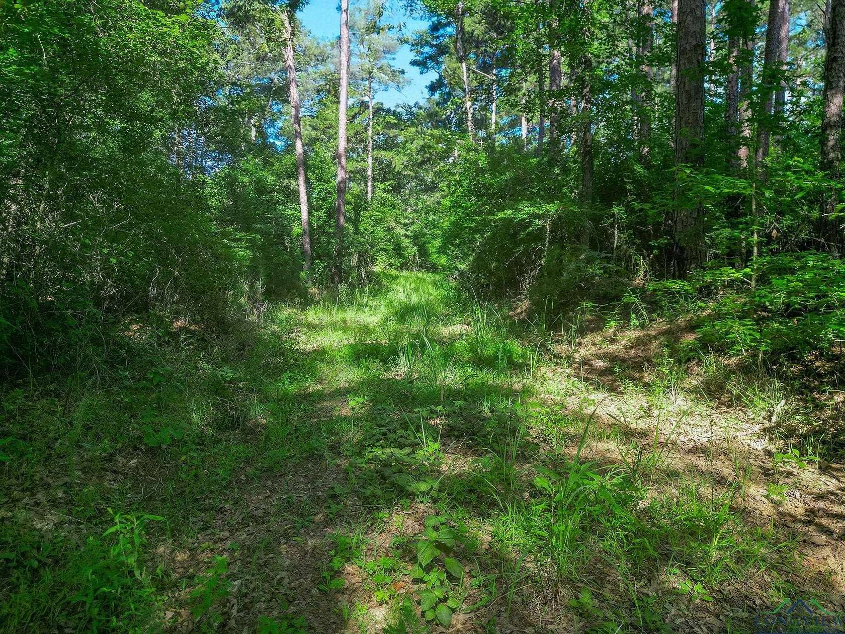 49.4 Acres of Recreational Land & Farm for Sale in Jefferson, Texas