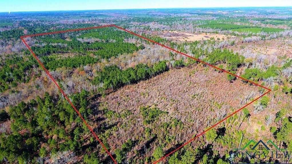 49.4 Acres of Recreational Land & Farm for Sale in Jefferson, Texas