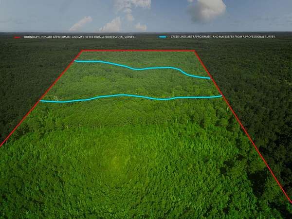 49.4 Acres of Recreational Land & Farm for Sale in Jefferson, Texas