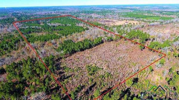 49.4 Acres of Recreational Land & Farm for Sale in Jefferson, Texas