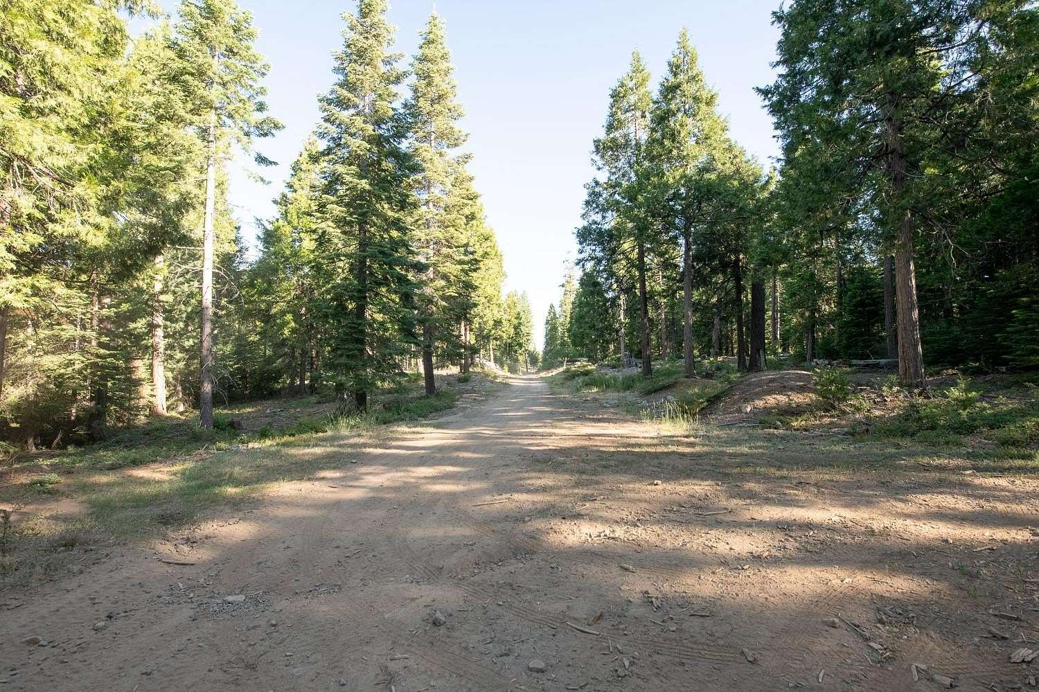 20.3 Acres of Recreational Land for Sale in Shaver Lake, California