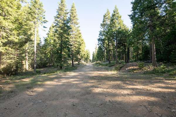 20.3 Acres of Recreational Land for Sale in Shaver Lake, California