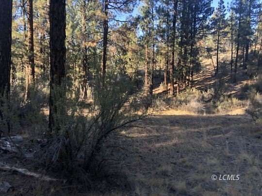 1 Acre of Residential Land for Sale in Chiloquin, Oregon