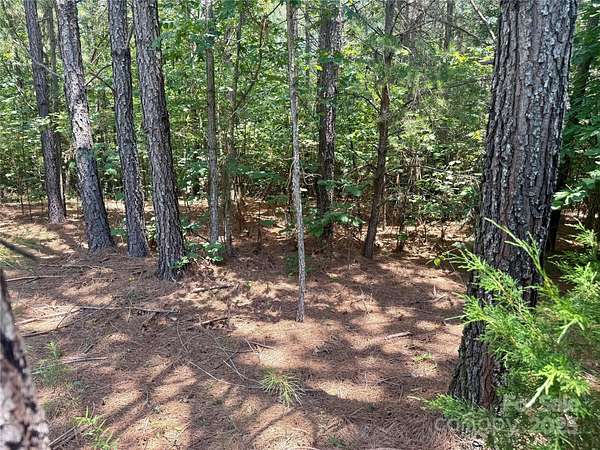 2.58 Acres of Residential Land for Sale in Rutherfordton, North Carolina