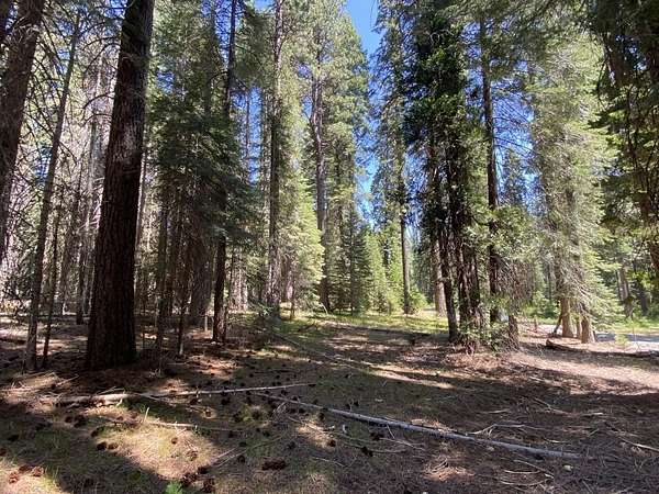 2.5 Acres of Residential Land for Sale in McCloud, California