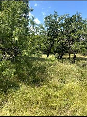 0.08 Acres of Land for Sale in May, Texas