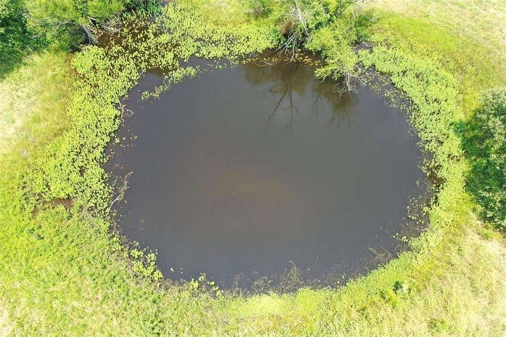 1 Acre of Residential Land for Sale in Mabank, Texas