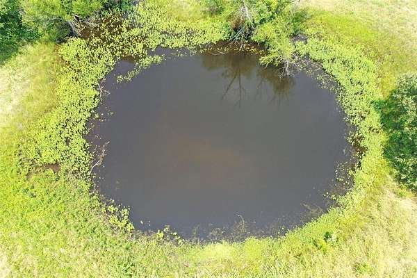 1 Acre of Residential Land for Sale in Mabank, Texas